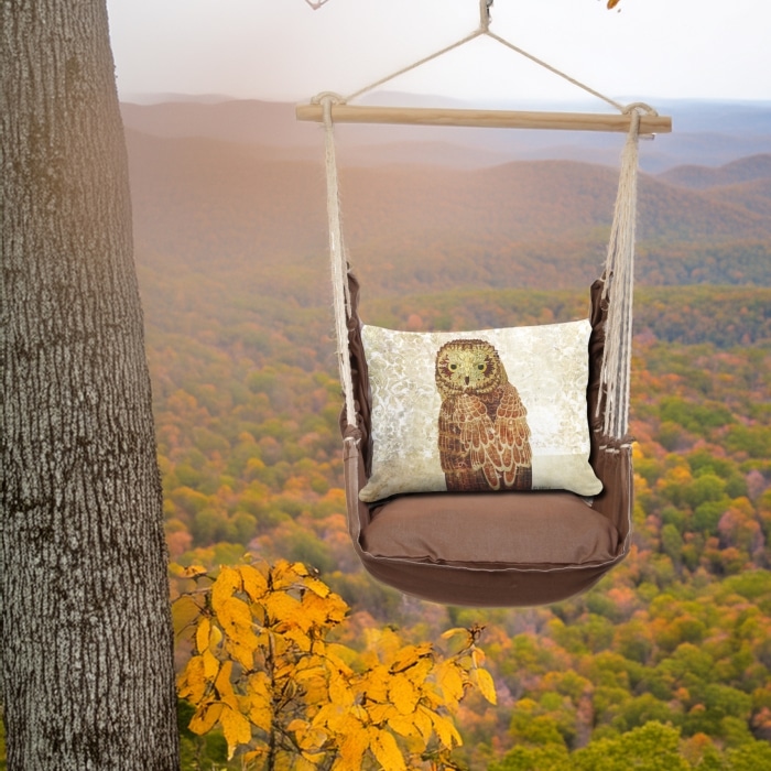 Swing Set 4 piece - Chocolate Solid w/ Owl Portrait <br>(Item # sws-ch-ar2502)
